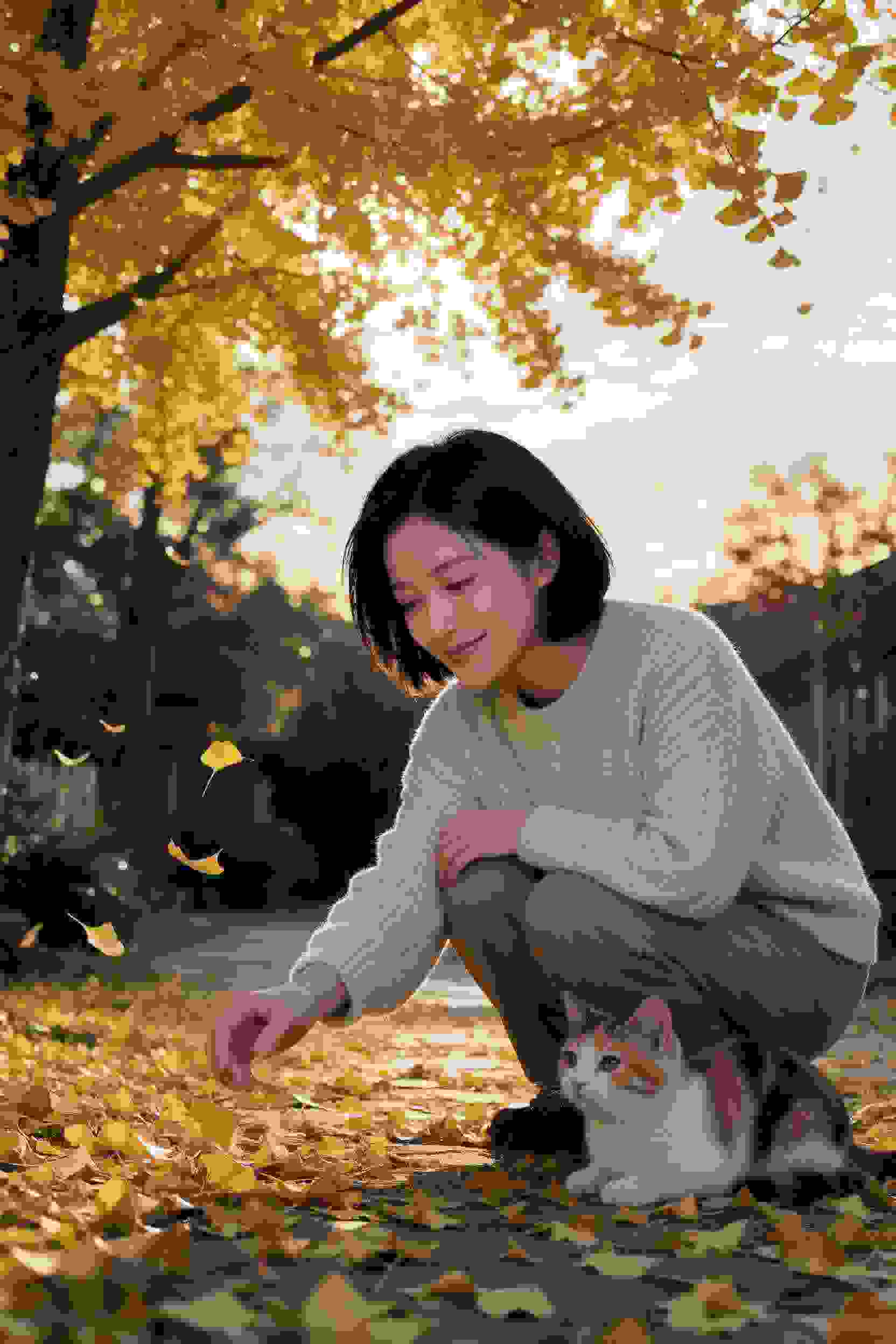 修仙秘密